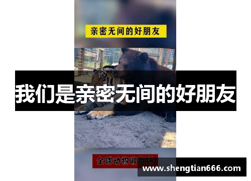 我们是亲密无间的好朋友